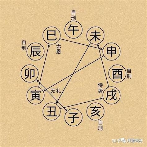 巳卯合|地支全篇（生、冲、合、害、刑、六合）包含口诀！很全很详细！